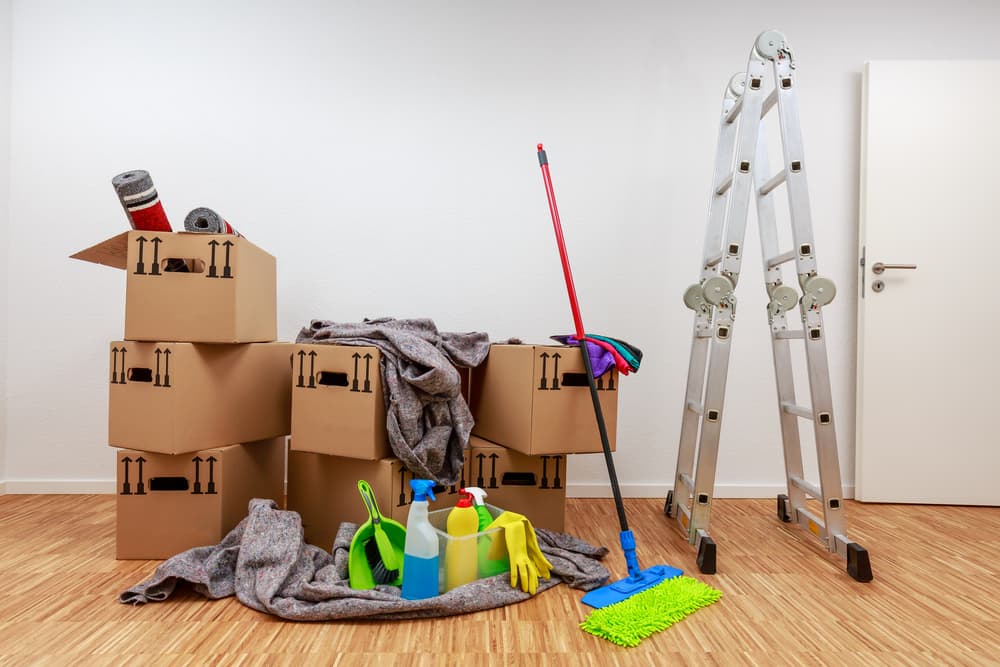 Move In Out cleaning min
